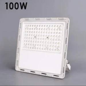 100W LED FloodLights With Lens