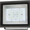 LED Flood Light 100W