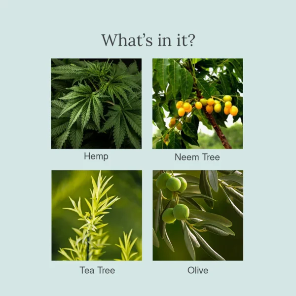 Hemp, Tea Tree And Neem Face Wash - Image 3