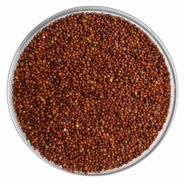 Indian Organic Ragi Rava, For Cooking, Packaging Size: Loose - Image 3